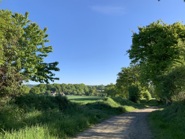 Couterne, lieu-dit du Vieil-Hêtre.