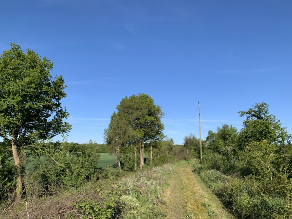 Nous passons sur l'ancienne voie ferrée de Briouze à Couterne. Cette section a été fermée en 1940 et déferrée après la Seconde Guerre Mondiale.