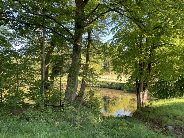 Une partie de la Vée est déviée pour alimenter l'étang du château de Couterne.