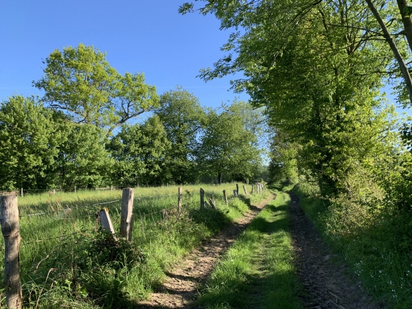 Chemin frontière entre Couterne et Bagnoles-de-l'Orne.