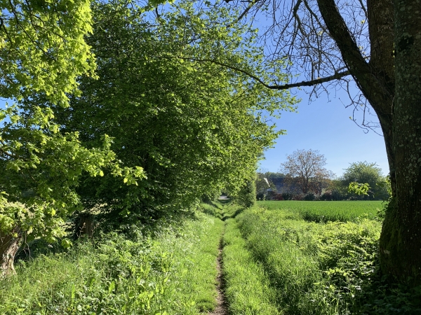 Chemin frontière entre Couterne et Bagnoles-de-l'Orne.