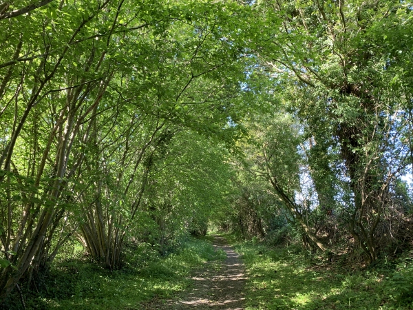 Nous sommes sur l'ancienne route royale, remplacée par la D916 parallèle. On y distingue encore, par endroits, les pavés sur lesquels passaient les diligences.