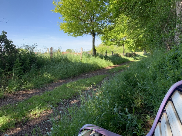 Chemin de La Jarias, vu de son banc.