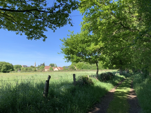 Chemin de La Jarias. On distingue le clocher de l'église Saint-Pierre-et-Saint-Paul de Couterne.