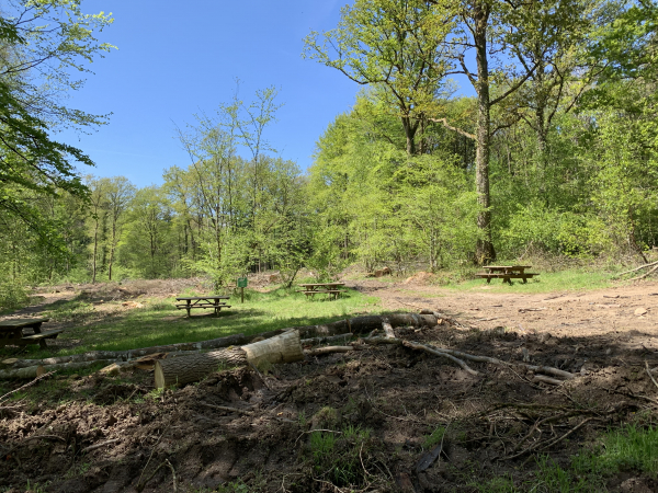 A proximité de la chapelle, l'espace de pique-nique est ravagé par les engins forestiers...