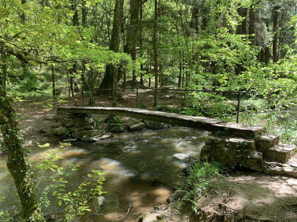 Nous traversons la Gourbe, pour monter vers les grottes.