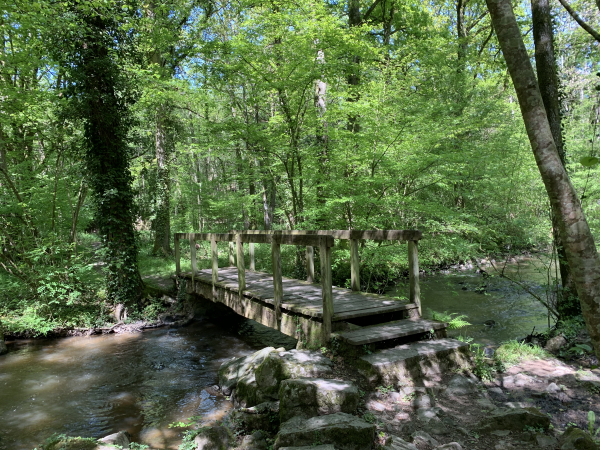 Nous traversons à nouveau la Gourbe en direction des tourbières.