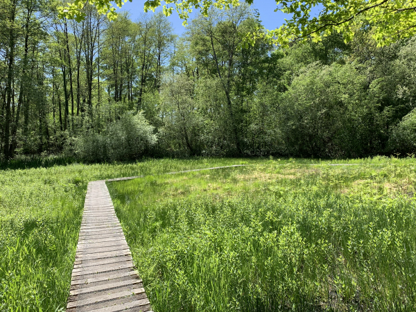 Les tourbières sont aménagées pour la visite.