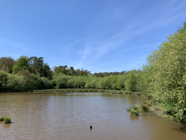 Vallée de la Cour, l'étang de la Maure.