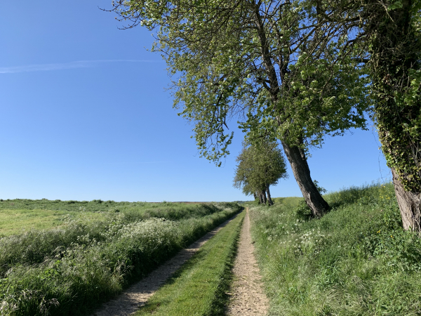Chemin en direction de Vrigny.