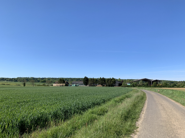 Route en direction des Marais.