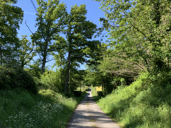 Chemin de l'Etang.