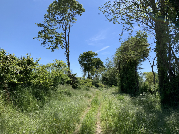 Chemin des Fontaines Thiot.