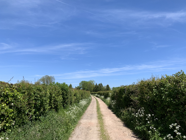 Chemin des Parquets.