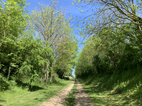 Réage du Douet de Monnerot. Le nom de ce chemin nous a intrigués ; après recherche, un réage est un secteur, un quartier et un douet est un ruisseau.