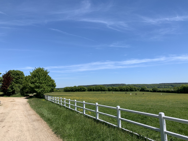 Réage du Douet de Monnerot à proximité du Haras du Petit Tellier.