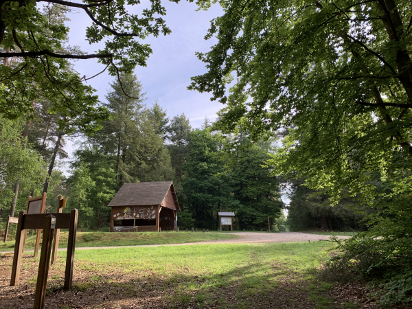 Forêt domaniale de Montfort, Rond de Beuvron. Nous prenons la direction du château du Bois-Héroult.