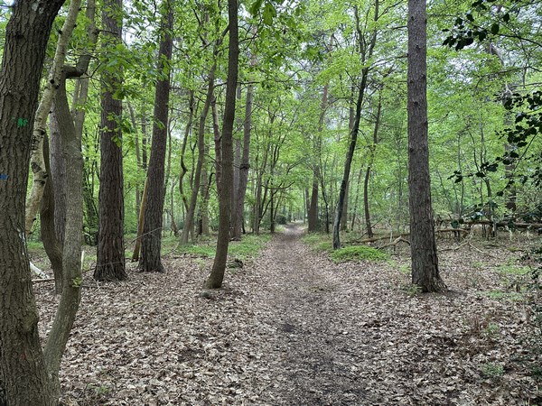 Au sommet, nous suivons le GR26 vers l'ouest.