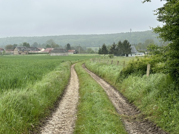 Avant la Vallée de Saint-Léger, nous quittons le GR26 et descendons Camfleur dans la vallée.