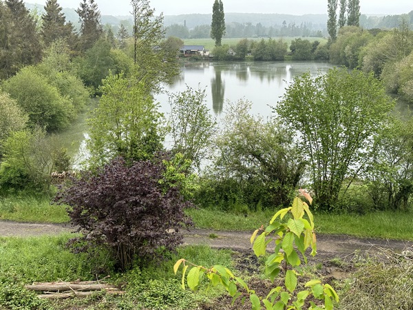 Coup d'œil sur l'étang du Petit Paradis dans la vallée de la Charentonne.
