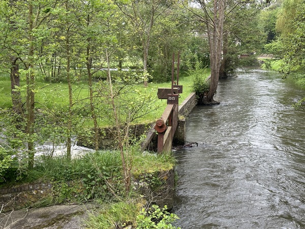La Charentonne et des vestiges de ses anciens moulins.