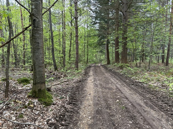 Avant le hameau de la Barberie, nous avons tourné en direction de Fontaine-l'Abbé.&nbsp;