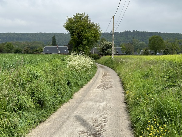 Nous descendons vers la vallée et quittons la forêt pour rejoindre Serquigny.