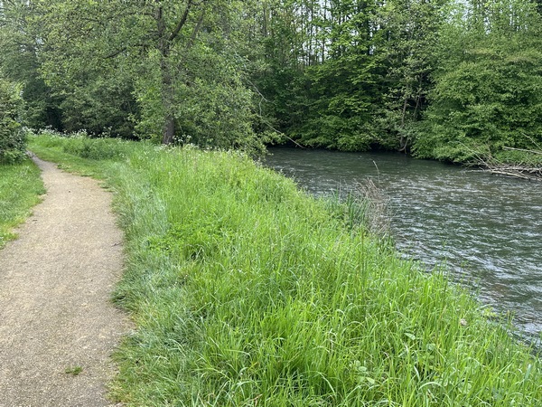 A l'entrée de Serquigny, nous entrons dans son parc, aménagé entre les bras de la Charentonne.
