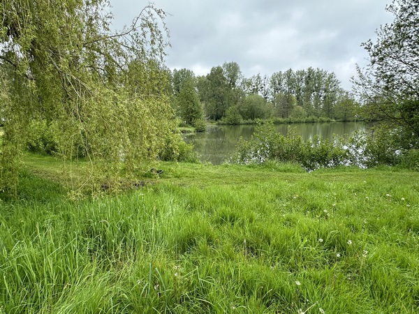 Etang du parc de Serquigny.
