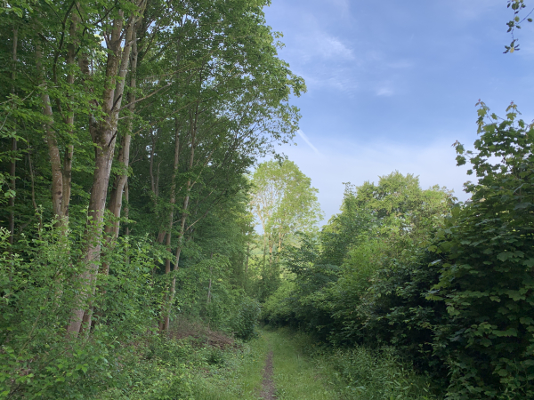 Descente dans la vallée de la Véronne