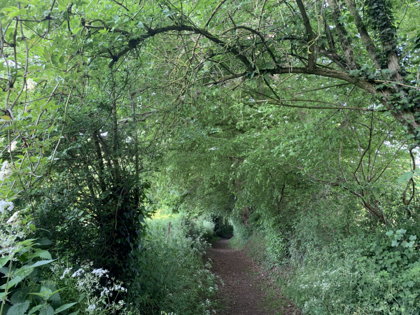 Descente dans la vallée de la Véronne