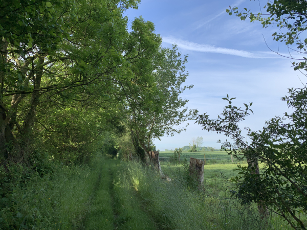 Contrairement à notre précédente visite ici, nous ne descendons pas vers la chapelle Saint-Firmin, mais prenons le charmant chemin de la Petite Plaine d'Incourt.