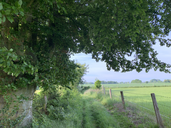 Chemin de la Petite Plaine d'Incourt.