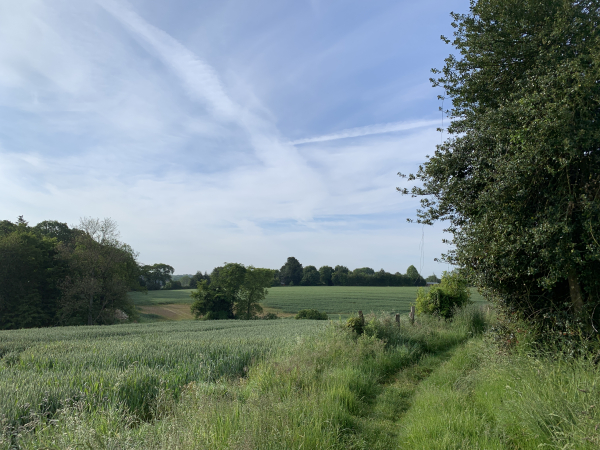 Chemin de la Petite Plaine d'Incourt.