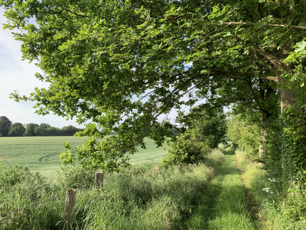 Chemin de la Petite Plaine d'Incourt.