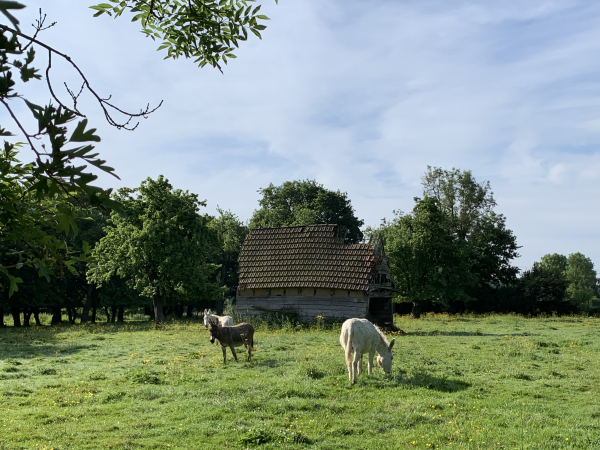 St-Martin-St-Firmin, la Bisserie.