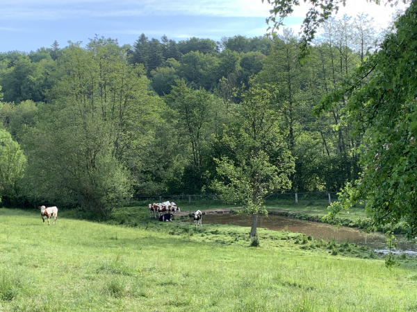St-Martin-St-Firmin, vallée de la Véronne.