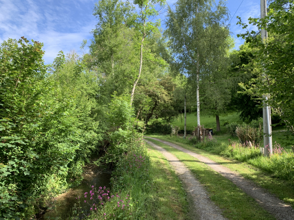 Nous sommes redescendus au niveau de la Véronne qui coule à gauche du chemin.