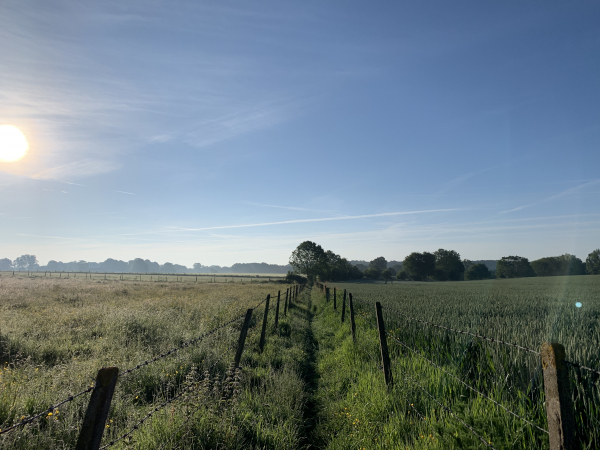 Nous entrons rapidement dans le vif du sujet avec ce premier chemin dès la sortie du bourg. Même au mois de juin, il était utile de prévoir les guêtres pour nous protéger de la rosée matinale.
