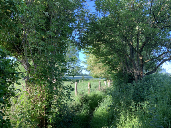 Fourmetot, la sente des Ecoliers.