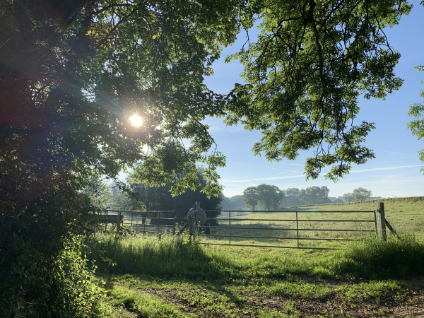 Nous arrivons sur le chemin du château du Hamel.