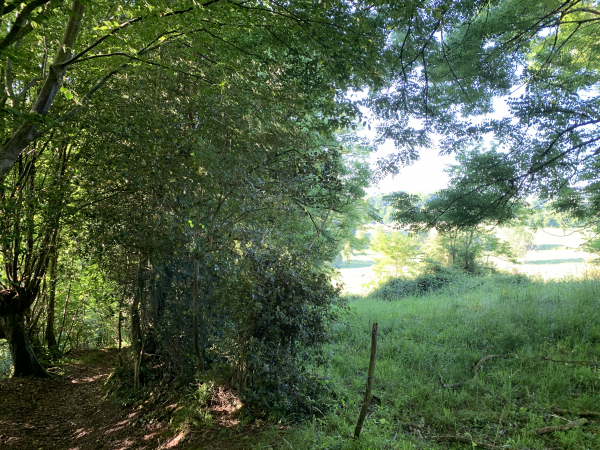 Sente Sagan, nous descendons vers le vallon du Bédard.