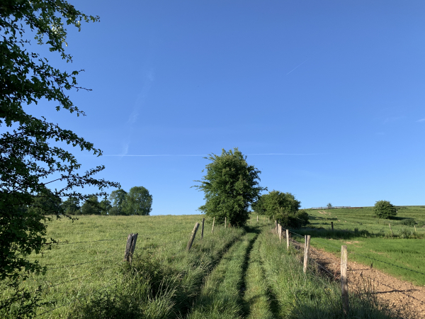 Nous montons maintenant dans les Longs Champs, en direction du hameau de Saint-Laurent.