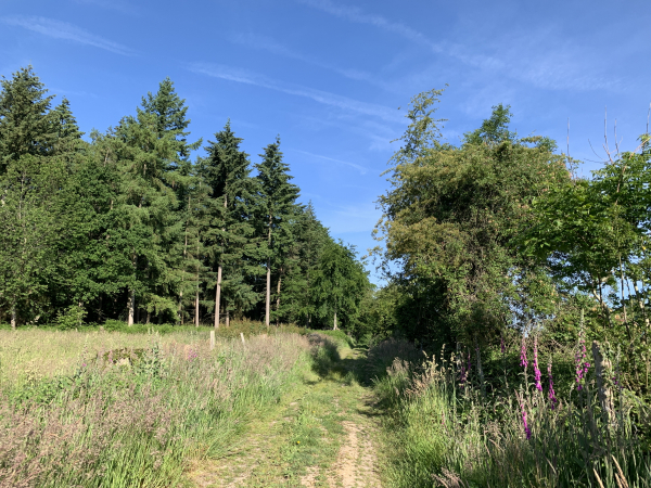 Nous contournons le hameau de Saint-Laurent le long du bois de la Côte.