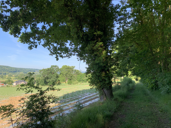 Nous sommes sur le chemin des Fougères, au-dessus de la vallée de la Risle.