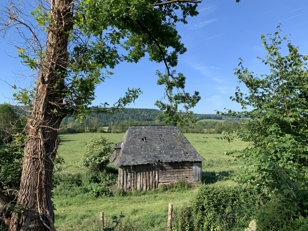 Nous sommes maintenant dans la vallée de la Risle, sur le chemin de la Vierge, près du canal des Moulins.