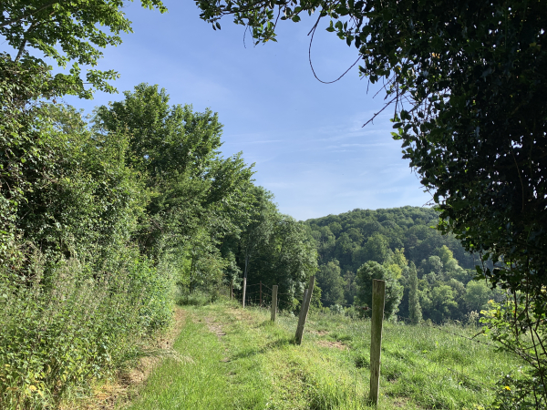A l'est de Manneville-sur-Risle, nous rejoignons le GR224RD que nous allons suivre jusqu'au lieu-dit le Houx-Gaillard.