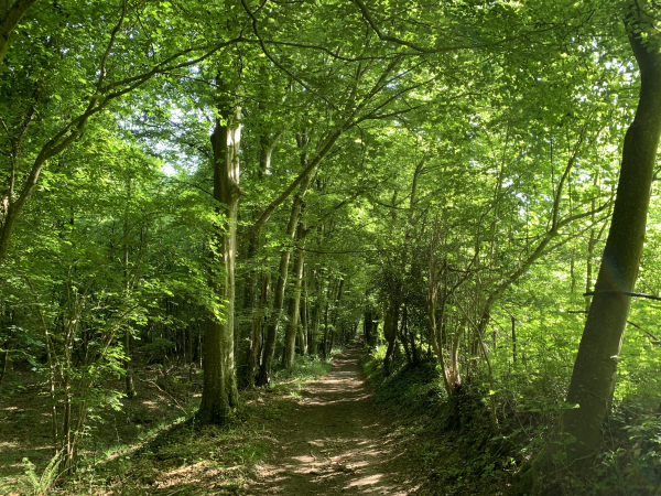 Chemin de grande randonnée GR224 Rive Droite.