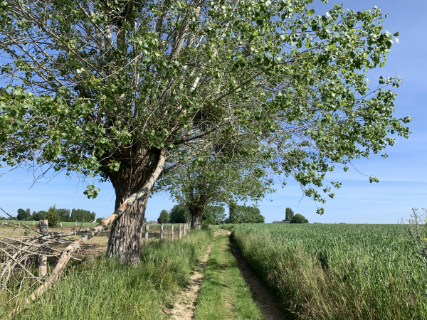 Chemin de la Butte Cavellier.