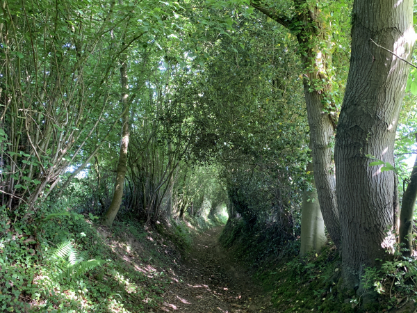 Chemin de la Mare de la Croisée.